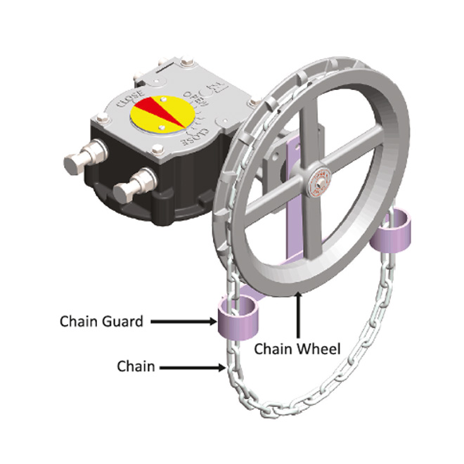 Chain Wheel Arrangement